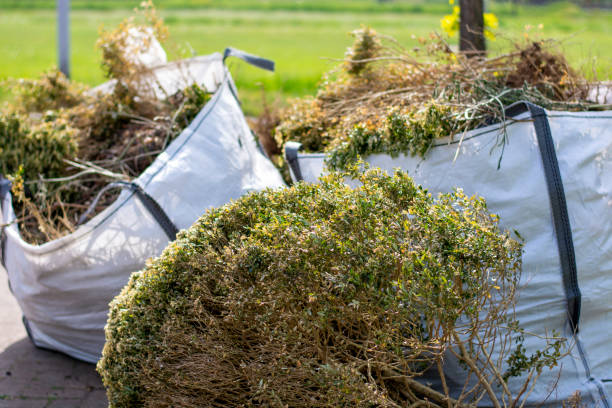 Best Local Junk Hauling  in Dudley, NC